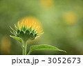 3052673