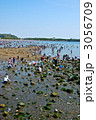 潮干狩り（海の公園／神奈川県横浜市金沢区）