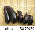 トゲなし千両