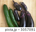 ナスとキュウリ