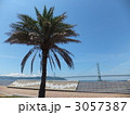 椰子の木と明石海峡大橋