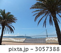 椰子の木と明石海峡大橋