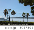 椰子と松と明石海峡大橋