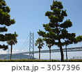 椰子と松と明石海峡大橋