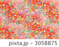 和紙友禅柄 3058875