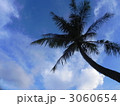 3060654