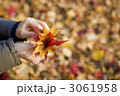 落ち葉の花