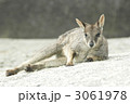 リラックス