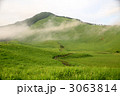 曽爾高原