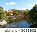 白鳥庭園の池