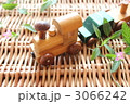 汽車