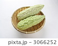 白ゴーヤー