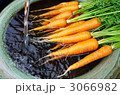 有機栽培にんじん