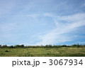 堤防の土手