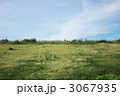 堤防の土手