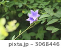 3068446