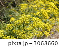 3068660