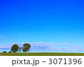 親子の木（横）