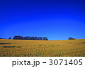 マイルドセブンの丘の遠景