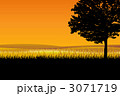 3071719