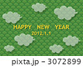 3072899
