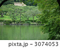 夏の薬師池公園