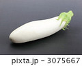 白茄子