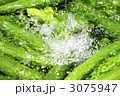 3075947