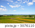 美瑛の丘と花畑