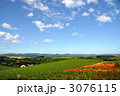 美瑛の丘と花畑