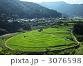 あらぎ島の円形棚田
