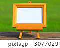 3077029