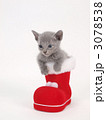 赤いブーツに入った子猫