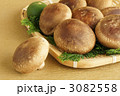 生椎茸