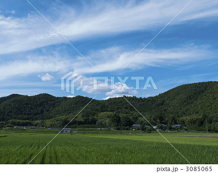 京都 広沢 愛宕連峰 京都 広沢 愛宕連峰