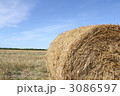 3086597