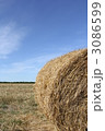 3086599
