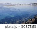 湘南の海