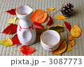 畳の上の落ち葉と徳利と猪口