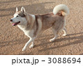 3088694