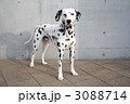 3088714