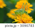 3090783