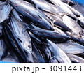 水揚げされたカツオ