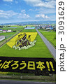 青森　田舎舘　田んぼアート　2011