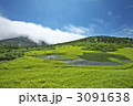青森　八甲田　田茂萢