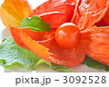 鬼灯