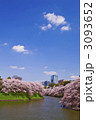 千鳥ヶ淵の桜