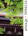 永平寺のもみじ