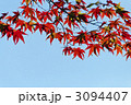 青空と紅葉
