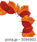 3094902